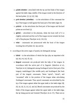 Záródolgozatok 'Modification of English Sounds in Connected Speech', 32.                