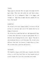 Kutatási anyagok 'Cats (Big and Wild)', 2.                