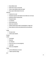 Kutatási anyagok 'Exam Case to Investigate Potential International Markets', 29.                