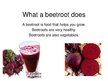 Prezentációk 'Beetroot', 3.                
