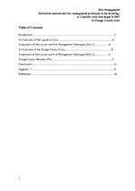 Esszék 'Derivatives Markets and Risk Management Techniques in the Liquidity Crisis in 20', 1.                