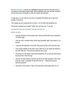 Prezentációk 'Cats', 16.                