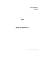 Esszék 'What Makes Truth True', 1.                