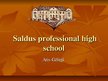 Prezentációk 'Saldus Professional High School', 1.                