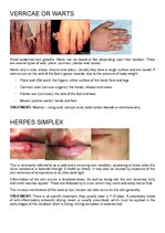 Összefoglalók, jegyzetek 'Bacterial Infection', 3.                