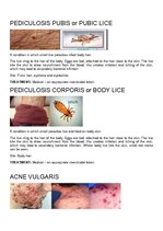 Összefoglalók, jegyzetek 'Bacterial Infection', 6.                