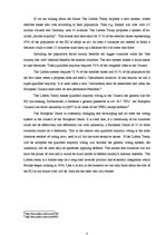 Esszék 'Development of Voting System in the Council of European Union', 4.                