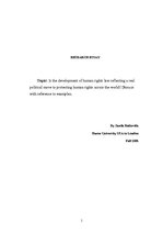Esszék 'Is the Development of Human Rights Law Reflecting a Real Political Move to Prote', 1.                