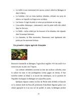 Kutatási anyagok 'La Bretagne', 15.                