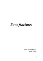 Kutatási anyagok 'Bone Fractures', 1.                