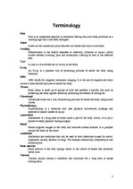 Kutatási anyagok 'Bone Fractures', 3.                