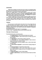 Kutatási anyagok 'Bone Fractures', 4.                