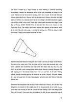 Kutatási anyagok 'The River Severn', 29.                