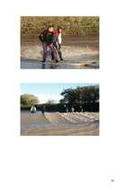 Kutatási anyagok 'The River Severn', 32.                