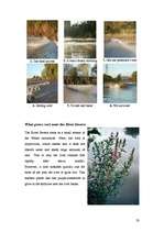 Kutatási anyagok 'The River Severn', 33.                