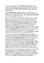 Összefoglalók, jegyzetek 'A világháborúk', 4.                