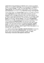 Összefoglalók, jegyzetek 'A világháborúk', 6.                