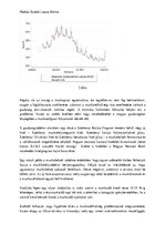 Kutatási anyagok 'A koronavírus makroökonómiai hatásai Kínára és Magyarországra nézve', 6.                