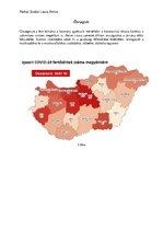 Kutatási anyagok 'A koronavírus makroökonómiai hatásai Kínára és Magyarországra nézve', 10.                