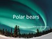 Prezentációk 'Polar Bears', 1.                