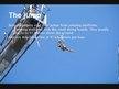 Prezentációk 'Bungee Jumping', 4.                