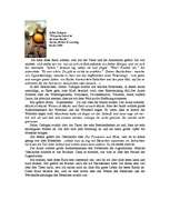 Összefoglalók, jegyzetek 'Selim Özdogan', 3.                