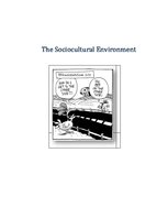 Kutatási anyagok 'The Sociocultural Environment (Cultural Differences in International Marketing)', 1.                