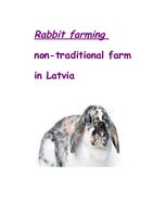 Kutatási anyagok 'Rabbit Farming', 1.                