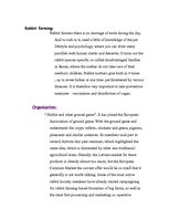 Kutatási anyagok 'Rabbit Farming', 3.                