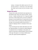 Kutatási anyagok 'Rabbit Farming', 5.                