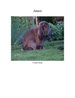 Kutatási anyagok 'Rabbit Farming', 7.                