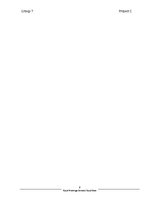 Üzleti tervek 'Beer Brand Royal Expanding It's Market in Canada', 8.                