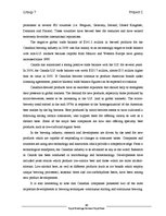 Üzleti tervek 'Beer Brand Royal Expanding It's Market in Canada', 48.                