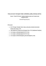Esszék 'Major EU Policies: Common Commercial Policy and Customs Union. Competition Polic', 1.                