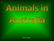 Prezentációk 'Animals in Australia', 1.                