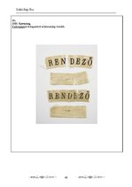 Kutatási anyagok 'Az Aradi Ereklyemúzeum textilalapú műtárgyainak katalógusa', 40.                