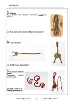 Kutatási anyagok 'Az Aradi Ereklyemúzeum textilalapú műtárgyainak katalógusa', 76.                