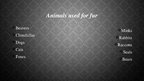 Prezentációk 'Using Animals Fur for Clothes', 4.                