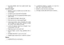 Összefoglalók, jegyzetek 'Emelt magyar szóbelik 2021', 13.                