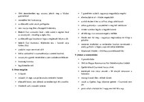 Összefoglalók, jegyzetek 'Emelt magyar szóbelik 2021', 19.                