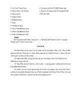 Összefoglalók, jegyzetek 'New York Hotels Comparison', 6.                