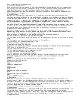 Esszék 'Businss Plan in China', 5.                