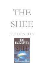 Összefoglalók, jegyzetek 'Joe Donelly ''The Shee''', 1.                