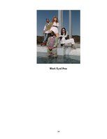 Kutatási anyagok 'English Language and Slang in the Lyrics of Popular Music', 24.                