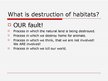Prezentációk 'Destruction of Habitats', 2.                