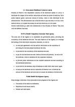 Kutatási anyagok 'Research on the Healthcare System of Latvia', 2.                