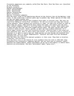 Esszék 'The Rose Sea Star or Starfish', 1.