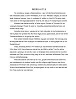 Esszék 'New York- the Big Apple', 2.                