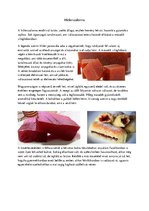 Összefoglalók, jegyzetek 'Hitlerszalonna', 1.                