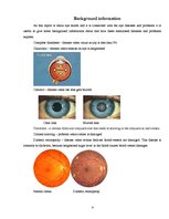 Kutatási anyagok 'Eye Health and Blindness', 4.                